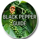 Black Pepper Guide icon