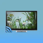 Fish Tank on TV via Chromecast icon