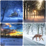 Winter Wallpapers icon