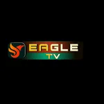 Eagle TV icon