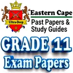 Grade 11 Eastern Cape Papers icon