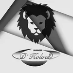 DKolves Busines IR Pessoa Físi icon