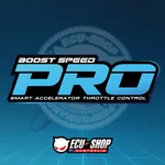 BoostSpeed Pro icon