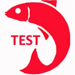 Fischertest icon