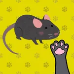 Paws & Play: Games for Cats icon