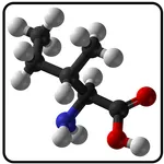Chemistry Aromatic compounds icon
