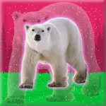 Release Polar Bear From Cage icon