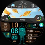 BioSky-X - Watch Face icon
