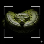 Snake Identifier: Snakerino icon