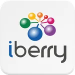 iBerry icon