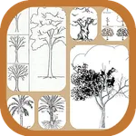 Learn to Draw Trees icon