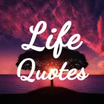 Daily Life Quotes & Lessons icon