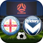 A-League Soccer icon