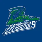 Everblades Gameday icon
