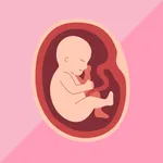 Pregnancy Tracker - Baby App icon