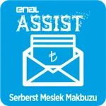 Serbest Meslek Makbuzu - SMM H icon