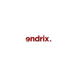Endrix icon