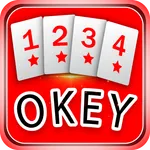 Okey game without internet icon