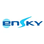 Ensky Pay icon