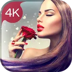 Valentine's day wallpapers icon