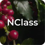 NClass icon