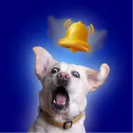 Gel Kuçu Kuçu icon