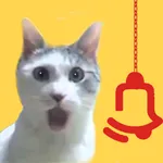 Gel Pisi Pisi icon
