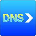 DNS forwarder icon