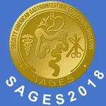 SAGES 2018 Annual Meeting icon