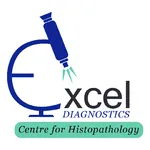 Excel Diagnostics icon