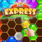 Express Hexa Puzzle Blocks icon