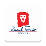 Real Torio icon