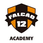Falcão 12 Academy icon