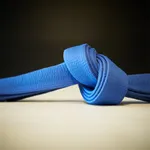 BJJ Blue Belt Requirements 2.0 icon