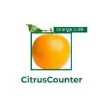 CitrusCounter icon