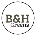 Brains and Hammers Green icon