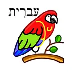 English hebrew dictionary icon