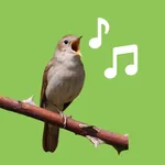 Bird Sounds icon