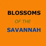 Blossoms of the Savannah Guide icon