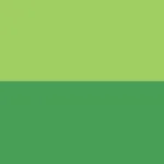 MoneySave icon