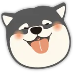 강아지상 분석기 icon