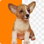 AI Photo Background Remover icon