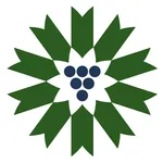 PEC Wine Explorer icon