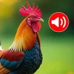 Animal Ringtones: Bird sounds icon