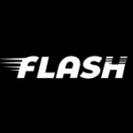 Flash Driver: Luxury & Regular icon