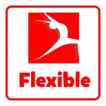 Flexible icon