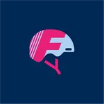 Flink Workforce icon