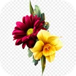 Flower Images icon