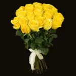 Flowers and Roses Stickers icon