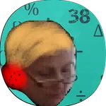 Flying SAU icon